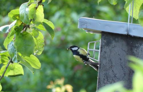Ferienwohnung Idylle - Foto 16