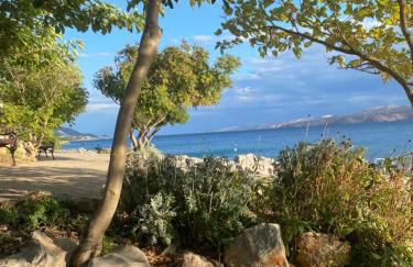 Apartments Matea with Pool and sea view - Foto 71
