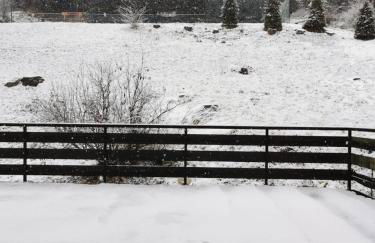 Appartamento Alba - Residence Montesole - Foto 12