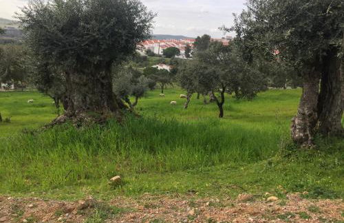 Holiday home Monte das Azinheiras - Foto 5