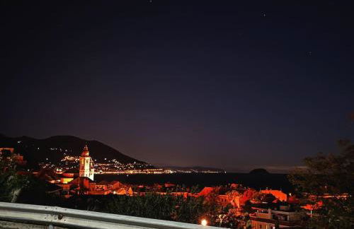 stella marina - Foto 1