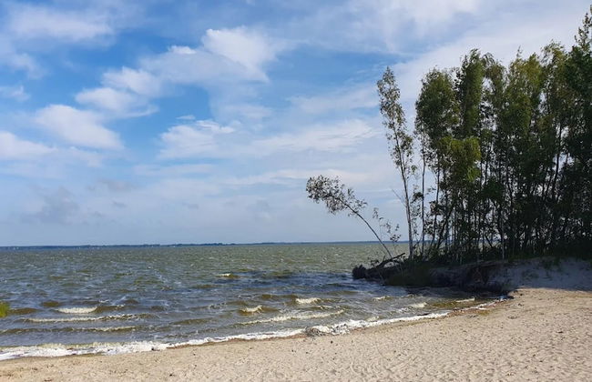 Ferienhaus in Fuhlendorf - Foto 29