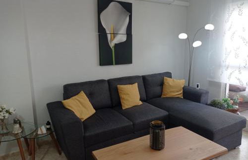 Palmeras III Solo Familias Serviplaya!!! - Foto 12