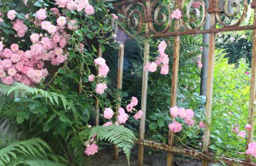 Villa Bergmann - Foto 31