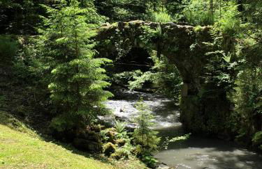 Le Moulin des Olirics - Photo 79