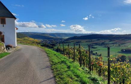 Ferienwohnungen Zum Niederberg mit Balkon und Moselblick - Foto 49