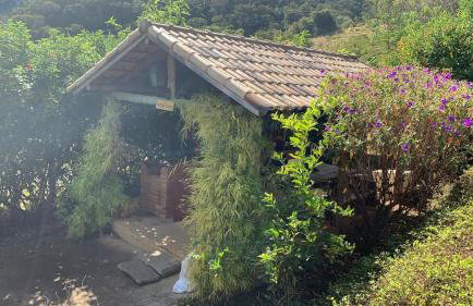 Vale das Estrelas - vale das videiras - araras - Foto 25