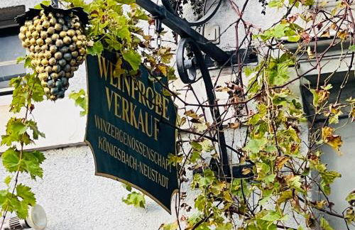 ARTvacanza Neustadt - Foto 68