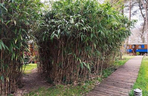 Les roulottes Vesta - Foto 64