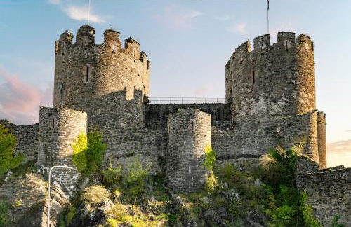 Coed y Felin - Foto 42