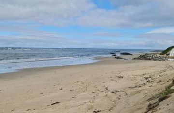 Moradia Pinheiro Manso - Foto 39