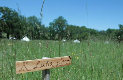 Luna caravane Vintage - Photo 19