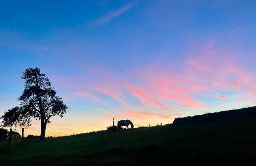 Auszeit Altenhorst, Gartenferienwohnung - Foto 35