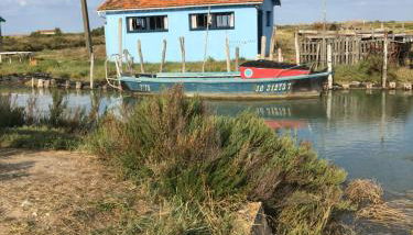 La possibilité d’une île - Foto 5