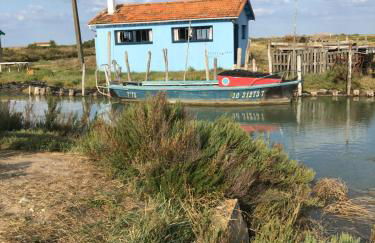La possibilité d’une île - Foto 5