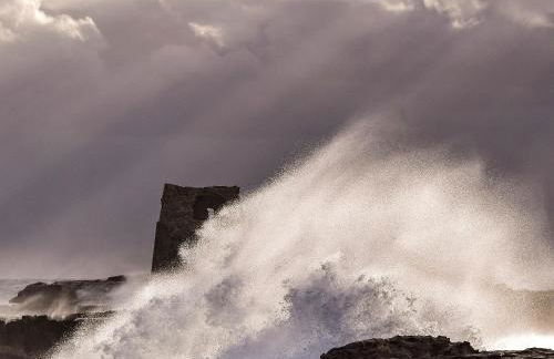 Masseria Bosco Mazza - Foto 44