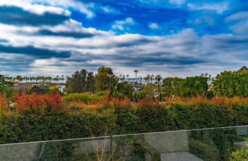 Walk to Beach Stunning Views La Jolla Shores - Photo 67