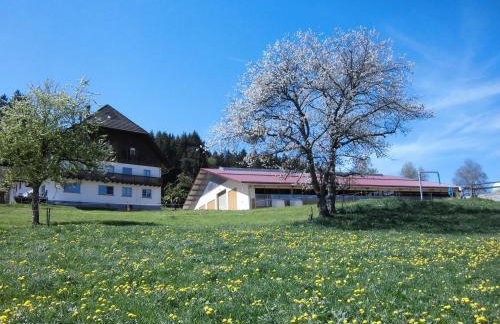 Ferienwohnung Ursprung - Foto 13