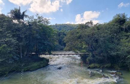 Piscina, jardim, área gourmet e vista arborizada - Foto 59