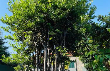 The Farm House.23 - Foto 37