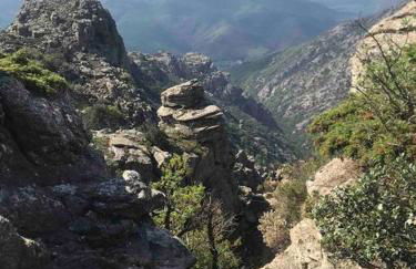 Superbe T2 dans un parc arboré - Foto 13