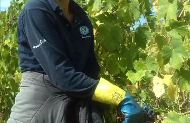 Agriturismo Pian dei Pini - Foto 18