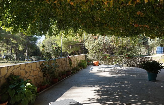 Beach House Žuljana - Foto 21