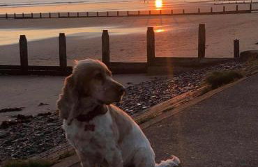 Seaglass Cottage - Redcar - Foto 52