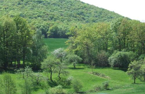 Ferienhaus Dorfglück Bischof 97633 Sulzfeld-Leinach - Foto 14