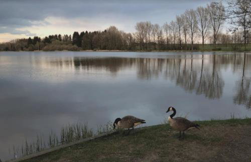 Erholsame Westerwälder Ferienwohnung Seni - Foto 18