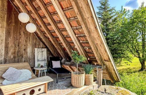 Apartment Kinast - HFT202 by Interhome - Foto 19