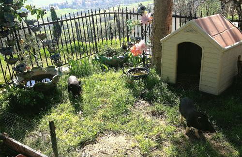 Agriturismo Ca' Isotta - Photo 15