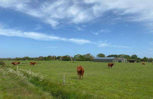Sylthaus Appartement - Photo 33