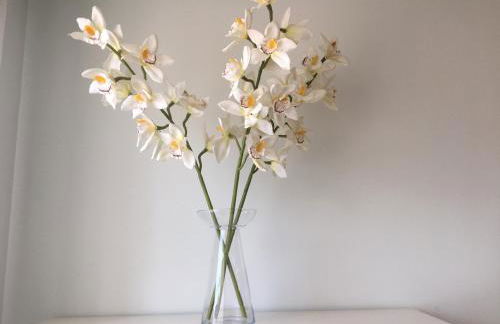 Apartamentos Confortarte - Foto 18