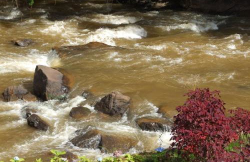 Sítio Canto das Águas - Foto 20