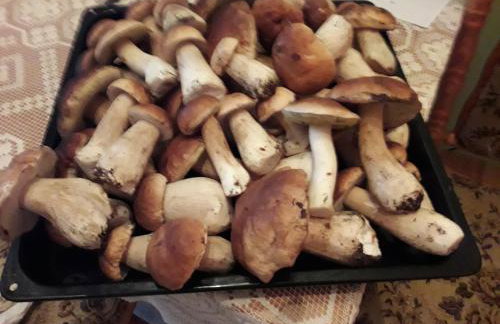 Domek u Janiny - Foto 27