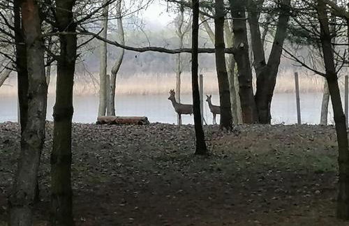 Świetna Chatka nad jeziorem - Foto 68