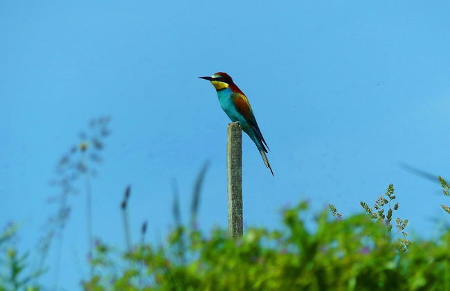 Holiday House Podhamer Marijan - Foto 38