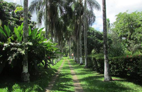 Sitio Prainha - Foto 24