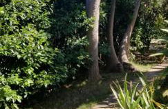 La Casita de la Vega - Foto 71