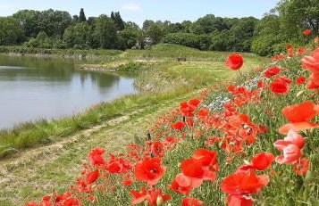 Orzechowy Dworek - Foto 40