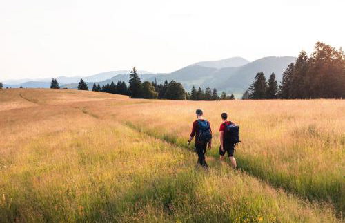 Almgasthaus Knöpflesbrunnen Fünfbettzimmer - Foto 9