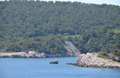 Villa ForTudor - Photo 28