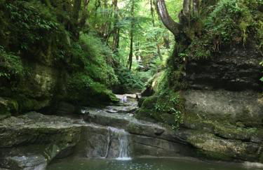 Maison de charme Haut-Jurassienne - Foto 54