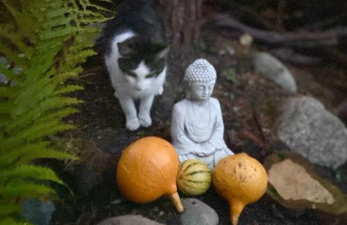 Feel-Harmonia w Nowym Kawkowie - Foto 36