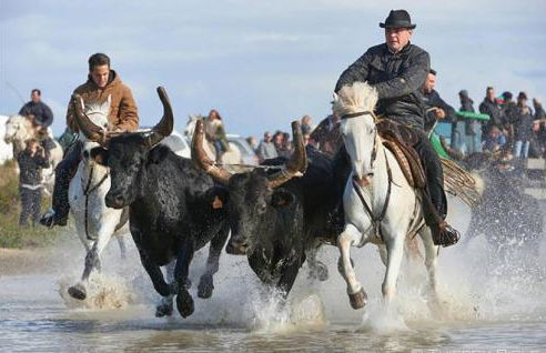 Cozy Home In Le Pontet - Foto 40