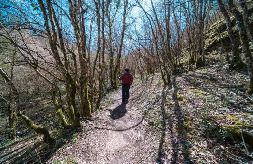 Domus Emma - Foto 49