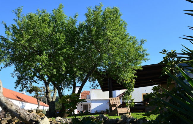 Quinta do Tio Viagem - Foto 45