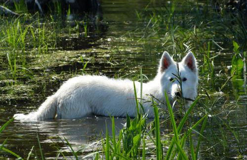 Große Ferienwohnung 85qm - Foto 31