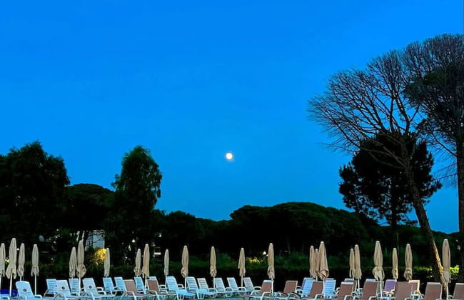 Studio With Amazing Balcony - Kamelia - Photo 29